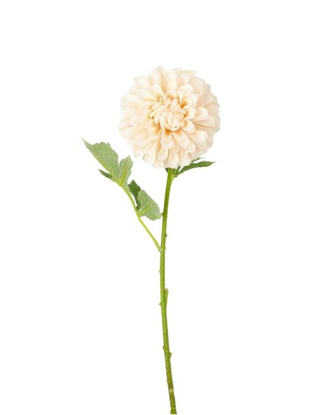 Kunstig dahlia – aprikos