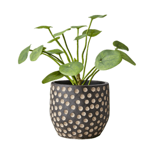 Hovedbilde CAMILLE Krukke M – Sort/Brun