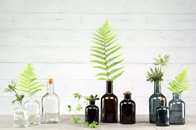 Hovedbilde Glassflaske med kork, mørkbrun 250ml 