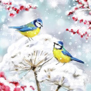 Hovedbilde Sevietter Lunsj "Birds in the snow"