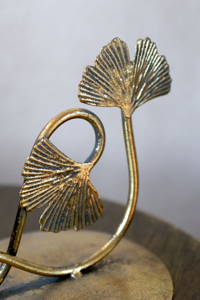 Kammerstake med blader