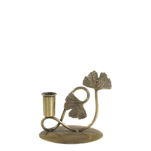 Hovedbilde Kammerstake med blader