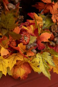 Hovedbilde Eiken&oslash;tter t&oslash;rket