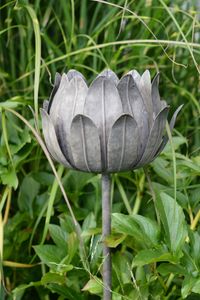 Hovedbilde Fakkelholder blomst