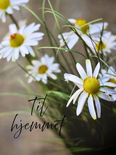 Nyheter klær og interiør